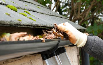gutter cleaning Epping Green