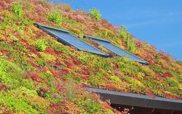 Epping Green living roof systems